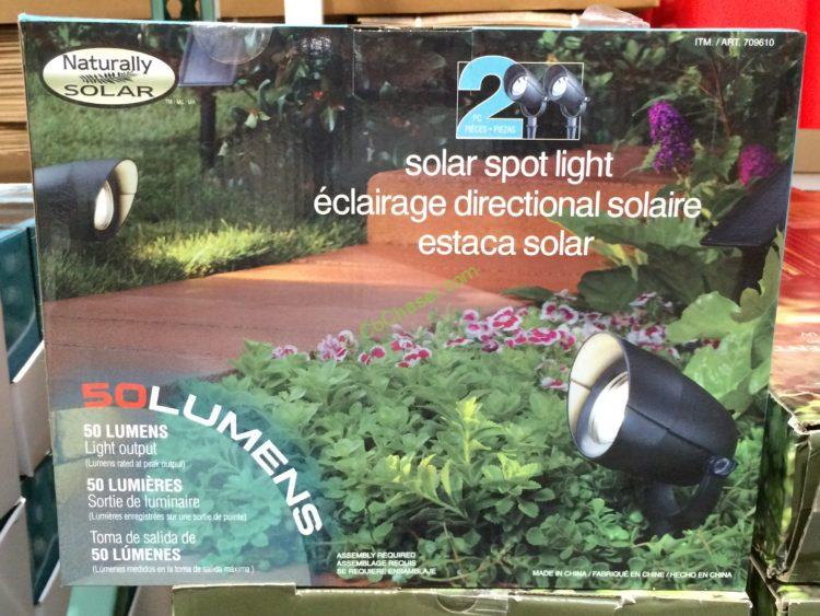 SOLAR SPOTLIGHTS 2 PK