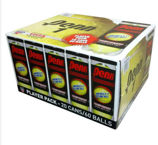 PENN REG DUTY TENNIS BALL