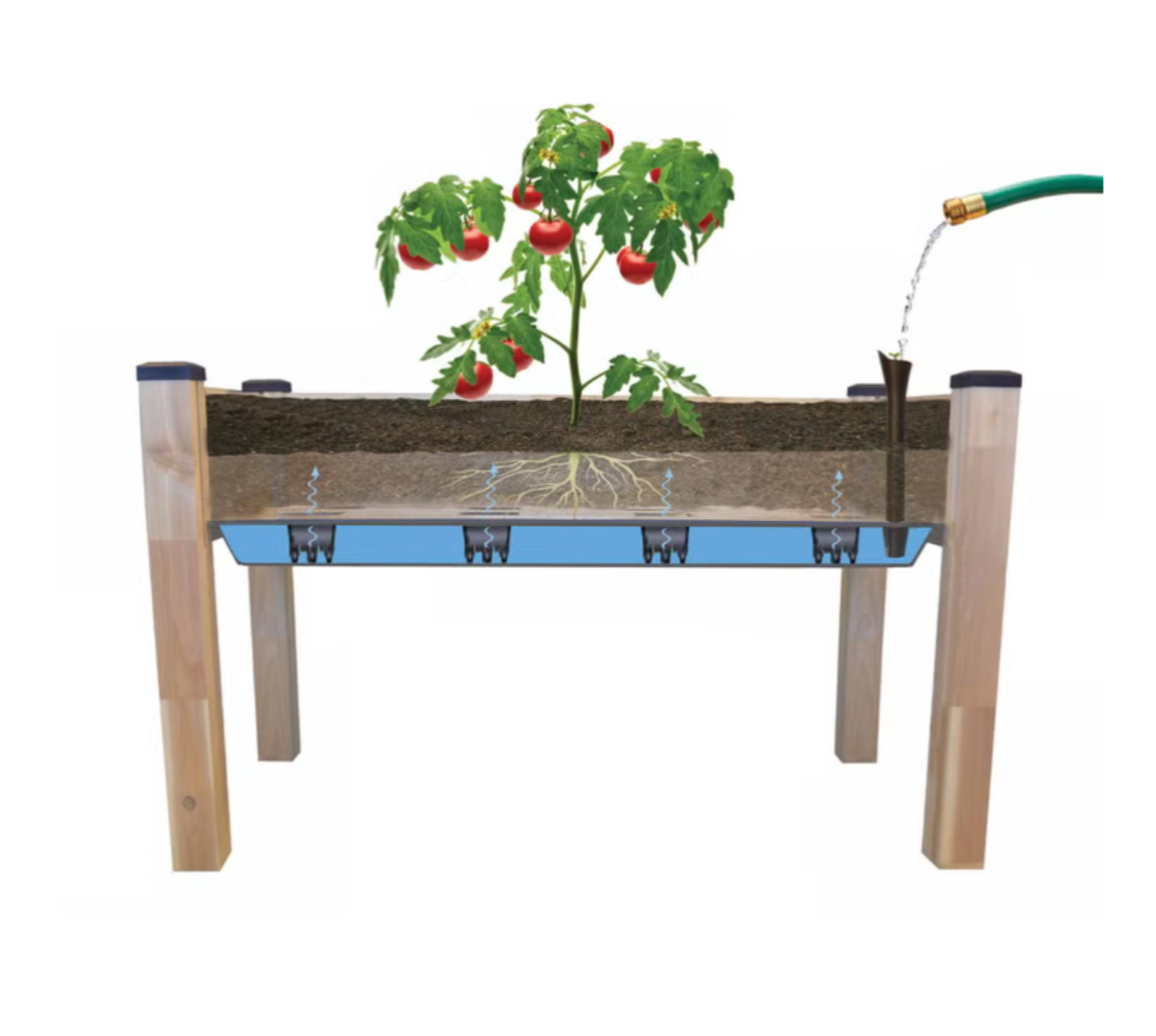 SELF WATERING ELEVATED