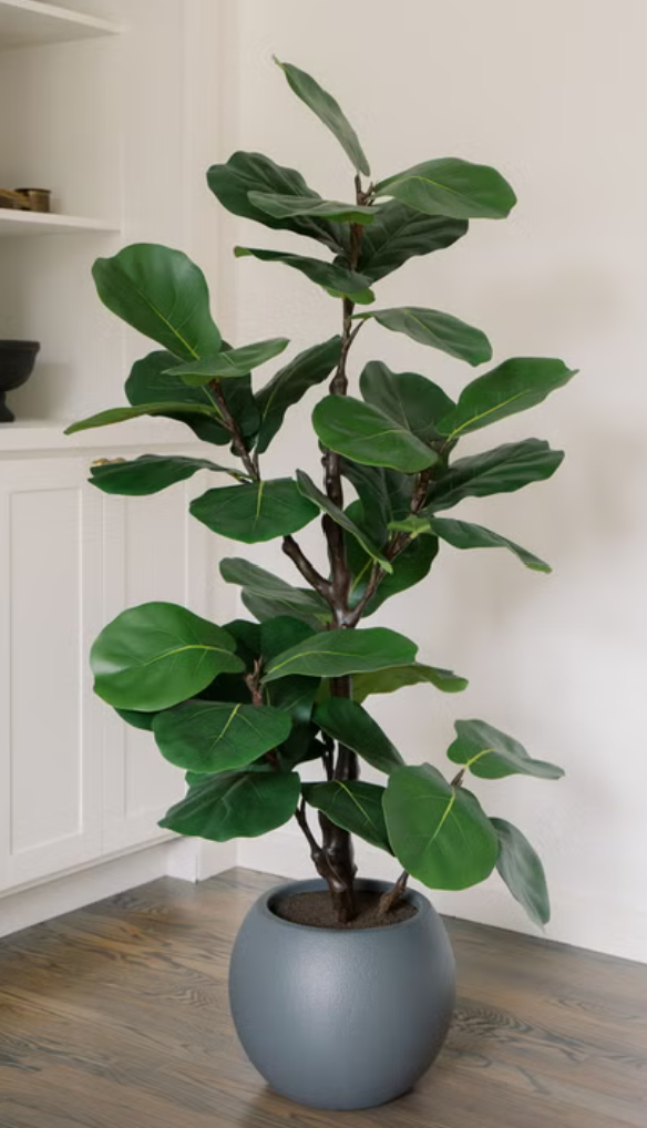 FAUX 5' SLIM FIG TREE